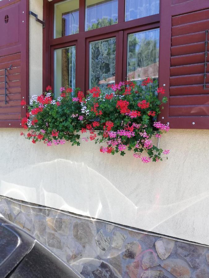 Apartament Roza Brasov Exterior photo