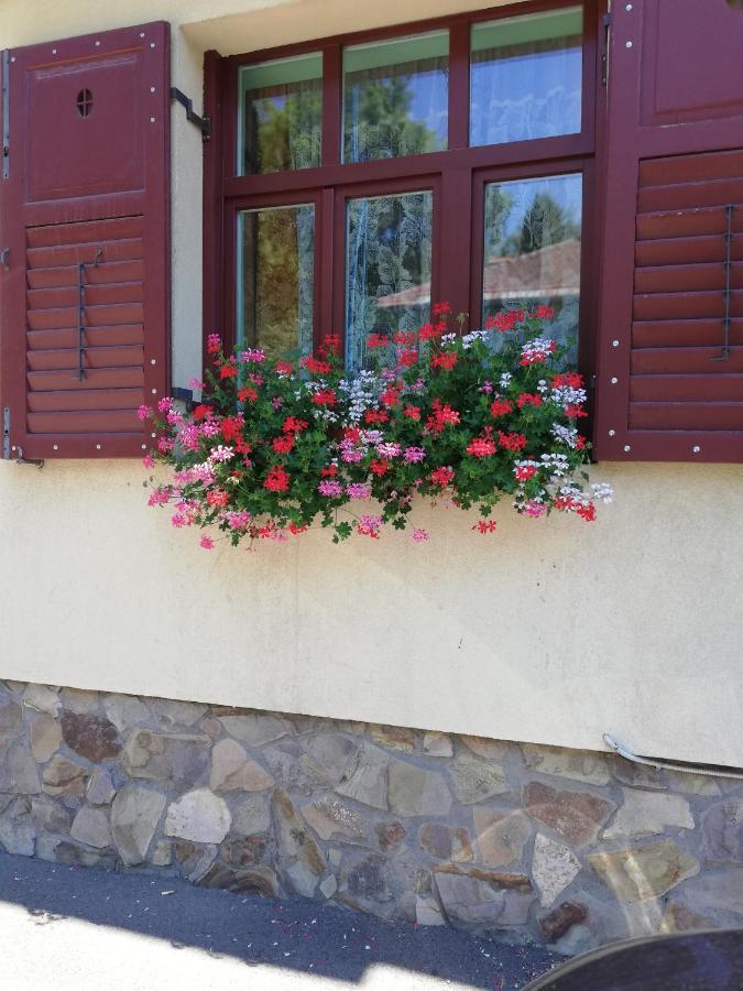 Apartament Roza Brasov Exterior photo